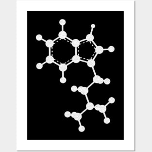 DMT Molecule Posters and Art